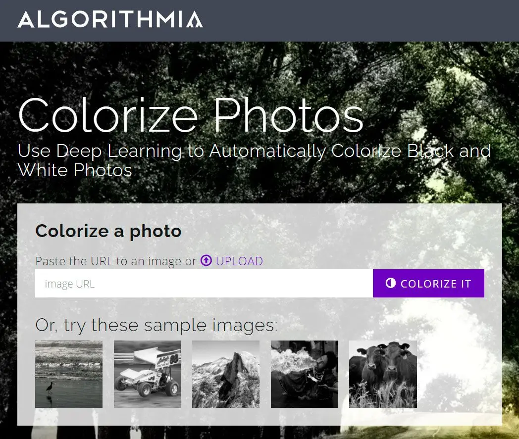 Χρωματισμός παλιάς φωτογραφίας σε απευθείας σύνδεση στο algorithmia..